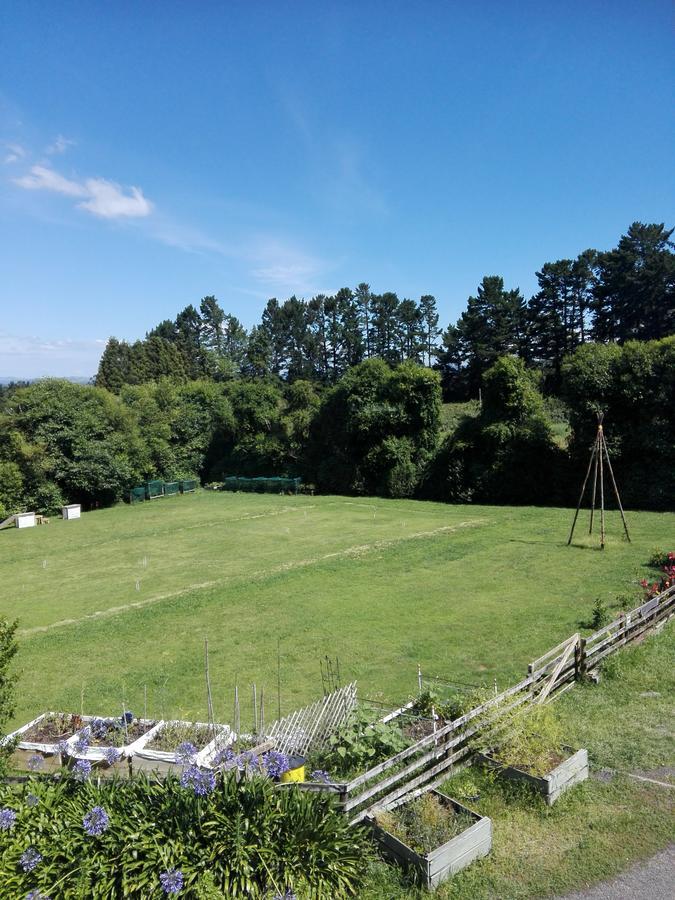 Purple Hen Country Lodge Katikati Εξωτερικό φωτογραφία