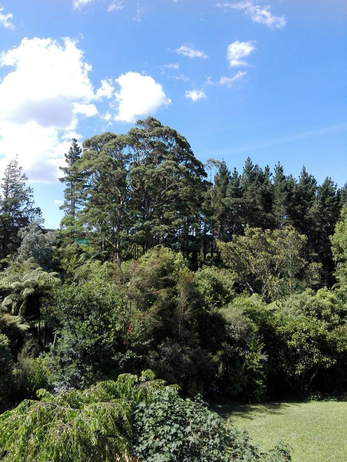 Purple Hen Country Lodge Katikati Εξωτερικό φωτογραφία