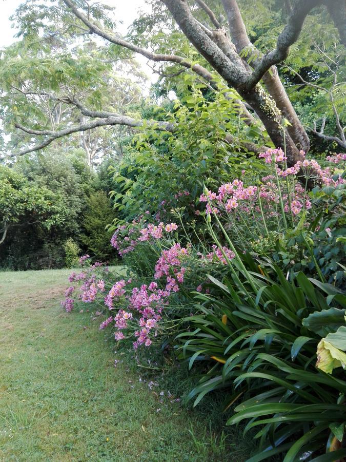 Purple Hen Country Lodge Katikati Εξωτερικό φωτογραφία