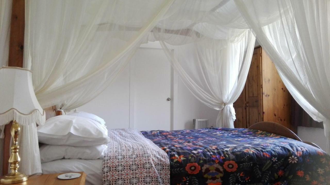 Purple Hen Country Lodge Katikati Εξωτερικό φωτογραφία